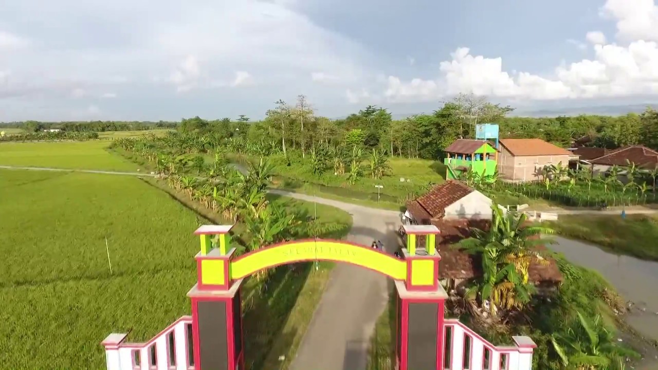 Desa Wisata Pemancingan Talun via Youtube, 1. Pantai Banyutowo, 2. Hutan Mangrove Pantai Sambilawang Pati, 3. Alun-alun Simpang Lima Pati, 4. Pulau Seprapat, 5. Waduk Gunung Rowo Pati, 6. Waduk Seloromo, 7. Pati Night Carnival, 8. Juwana Water Fantasy, 9. Klating Pucakwangi, 10. Kebun Kopi Jolong, 11. Situs Bersejarah Candi Kayen, 12. Goa Wareh, 13. Sendang Sani Pati, 14. Air Terjun Grenjengan Jolong, 15. Air Terjun Tadah Hujan Pati, 16. Makam Syekh Mutamakkin, 17. Makam Syekh Jangkung Saridin, 18. Wisata Industri PT. Dua Kelinci, 19. Desa Wisata Pemancingan Talun, 20. Pintu Gerbang Majapahit, 21. Petilasan Kadipaten Pati Genuk Kemiri, 22. Goa Pancur, 23. Lorodan Semar, 24. Kran Air Raksasa Melayang, 25. Vihara Gunung Wungkul, 26. Bumi Perkemahan Regaloh, 27. Air Terjun Selonatah, 28. Air Terjun Tretes Tlogowungu, 29. Haul Sunan Prawoto, 30. Hutan Kota Kalidoro, 31. Air Terjun Grenjengan Sewu, 32. Bukit Pandang Duren Sawit, 33. Hutan Pinus Pangonan, 34. Sego Gandul, 35. Sego Tewel Tambak Romo