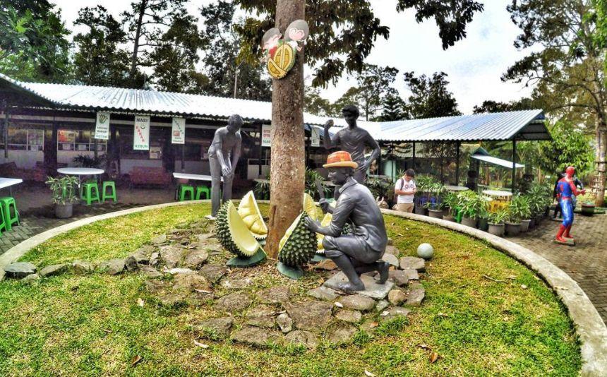 Fresh Green Trawas via @bswn, 1. Wisata Sawah Sumber Gempong, 2. Bernah De Vallei, 3. Waterland Mojokerto, 4. Candi Bajang Ratu, 5. Candi Brahu, 6. Candi Tikus, 7. Candi Wringin Lawang, 8. Kolam Segaran, 9. Museum Trowulan, 10. Mahavihara Majapahit, 11. Patung Buddha Tidur, 12. Pendopo Agung Trowulan, 13. Air Terjun Coban Canggu, 14. Air Terjun Dlundung Mojokerto, 15. Pacet Mini Park Mojokerto, 16. Joglo Park Mojokerto, 17. Candi Jolotundo, 18. Klurak Eco Park, 19. Puncak Bayangan Gunung Penanggungan, 20. Pemandian Air Panas Padusan, 21. Air Terjun Grenjengan, 22. Api Abadi Mojokerto, 23. Bukit Watu Jengger, 24. Claket Adventure Park, 25. Air Terjun 7 Bidadari, 26. Pacet Hill, 27. Air Terjun Duyung Trawas Hill, 28. Fresh Green Trawas, 29. PPLH Seloliman Trawas, 30. Obech Rafting Pacet, 31. Sumber Wuluh, 32. Air Terjun Watu Ondo, 33. Alun-alun Mojokerto, 34. Wisata Desa BMJ Mojopahit, 35. Wisata Bukit Kayoe putih, 36. Taman Semeru, 37. Ranu Manduro, 38. Wisata Waduk Tanjungan, 39. Taman Kehati, 40. Reco Banteng Hayam Wuruk, 41. Benteng Taman, 42. Air Terjun Watu Gedhek, 43. Coban Talun, 44. Wisata Sumber Dhuwur Sidorejo, 45. Rainbow Garden Poetoek Soeko, 46. MOLAGAR, 47. WET SENDI 2, 48. Situs Siti Inggil, 49. Balai Pelestarian Cagar Budaya, 50. Wanawisata Dlundung, 51. Candi Kesiman, 52. Candi Bangkal, 53. Museum Sanggar Gubug Wayang, 54. Air Terjun Surodadu, 55. Petik Strawberry Padusan, 56. Gua gembyang, 57. Candi Jedong, 58. Air Terjun Watu Lumpang, 59. Situs Reco Lanang, 60. Pemandian Ubalan, 61. Makam Troloyo