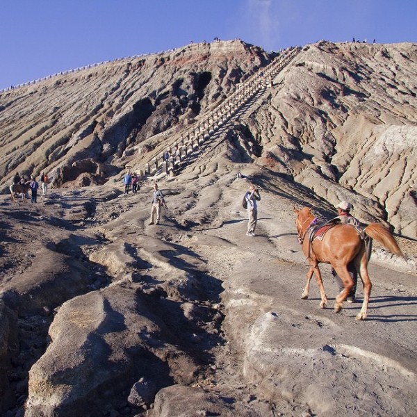 Gunung Bromo via @explorepasuruan, 1. Kawasan Tretes, 2. Taman Safari Prigen, 3. Pantai Lekok, 4. Gunung Bromo, 5. Bukit Flora, 6. Condido Agro Herbal, 7. Finna Golf & Club Resort, 8. Pantai Penunggul, 9. Pemandian Alam Banyu Biru Pasuruan, 10. Candi Jawi, 11. Candi Gunung Gangsir, 12. Danau Ranu Grati, 13. Kebun Raya Purwodadi, 14. Kebun Apel Khrisna, 15. Agrowisata Bhakti Alam Pasuruan, 16. Air Terjun Gumandar, 17. Air Terjun Sumber Nyonya, 18. Air Terjun / Coban Cemoro Gading, 19. Coban Waru Pasuruan, 20. Coban Rambut Moyo, 21. Air Terjun Kakek Bodo Pasuruan, 22. Air Terjun Putuk Truno, 23. Saygon Waterpark, 24. Sawahe Pak Budi, 25. The Taman Dayu, 26. Alun-alun Pasuruan, 27. Taman Pakuncen, 28. Taman GOR Untung Suropati, 29. Taman Sekargadung, 30. Hutan Mangrove Nguling, 31. Air Terjun Baung, 32. Air Terjun Alap-alap di Pasuruan, 33. Air Terjun Tundo Pitu di Pasuruan, 34. Masjid Cheng Hoo Pandaan, 35. Curug Coban Watu, 36. Saygon Night Park, 37. Kedawung Agro Selfie, 38. Reco Kembar, 39. Pemandian Taman Ria Suropati, 40. Taman Hayati, 41. Candi Belahan (Candi Sumber Tetek)