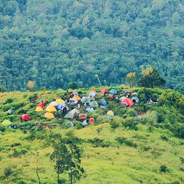 Gunung Penanggungan Mojokerto via @nithaoy, 1. Wisata Sawah Sumber Gempong, 2. Bernah De Vallei, 3. Waterland Mojokerto, 4. Candi Bajang Ratu, 5. Candi Brahu, 6. Candi Tikus, 7. Candi Wringin Lawang, 8. Kolam Segaran, 9. Museum Trowulan, 10. Mahavihara Majapahit, 11. Patung Buddha Tidur, 12. Pendopo Agung Trowulan, 13. Air Terjun Coban Canggu, 14. Air Terjun Dlundung Mojokerto, 15. Pacet Mini Park Mojokerto, 16. Joglo Park Mojokerto, 17. Candi Jolotundo, 18. Klurak Eco Park, 19. Puncak Bayangan Gunung Penanggungan, 20. Pemandian Air Panas Padusan, 21. Air Terjun Grenjengan, 22. Api Abadi Mojokerto, 23. Bukit Watu Jengger, 24. Claket Adventure Park, 25. Air Terjun 7 Bidadari, 26. Pacet Hill, 27. Air Terjun Duyung Trawas Hill, 28. Fresh Green Trawas, 29. PPLH Seloliman Trawas, 30. Obech Rafting Pacet, 31. Sumber Wuluh, 32. Air Terjun Watu Ondo, 33. Alun-alun Mojokerto, 34. Wisata Desa BMJ Mojopahit, 35. Wisata Bukit Kayoe putih, 36. Taman Semeru, 37. Ranu Manduro, 38. Wisata Waduk Tanjungan, 39. Taman Kehati, 40. Reco Banteng Hayam Wuruk, 41. Benteng Taman, 42. Air Terjun Watu Gedhek, 43. Coban Talun, 44. Wisata Sumber Dhuwur Sidorejo, 45. Rainbow Garden Poetoek Soeko, 46. MOLAGAR, 47. WET SENDI 2, 48. Situs Siti Inggil, 49. Balai Pelestarian Cagar Budaya, 50. Wanawisata Dlundung, 51. Candi Kesiman, 52. Candi Bangkal, 53. Museum Sanggar Gubug Wayang, 54. Air Terjun Surodadu, 55. Petik Strawberry Padusan, 56. Gua gembyang, 57. Candi Jedong, 58. Air Terjun Watu Lumpang, 59. Situs Reco Lanang, 60. Pemandian Ubalan, 61. Makam Troloyo