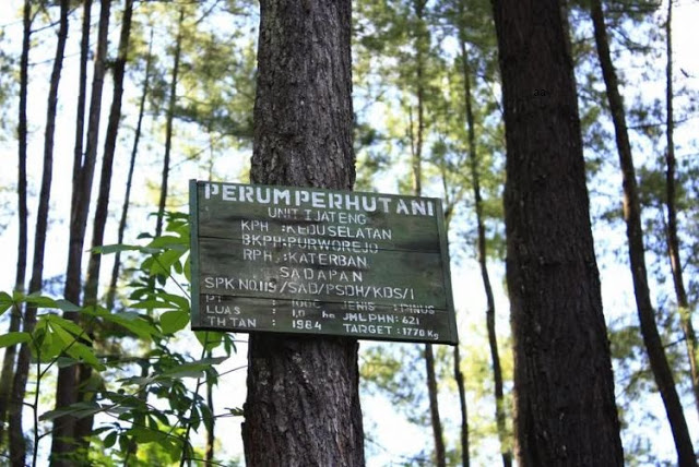 Hutan Kusumo Asri, 1. Pantai Dewaruci Jatimalang, 2. Pantai Jetis, 3. Pantai Ketawang, 4. Sumber Adventure Center (SAC), 5. Hutan Pinus Kalilo Kaligesing, 6. Alun-alun Kota Purworejo, 7. Masjid Agung Darul Muttaqin Purworejo, 8. Goa Seplawan, 9. Wisata Bukit Sikepel, 10. Wisata Bukit Sikepel, 11. Wisata Curug Gunung Putri, 12. Taman Sidandang, 13. Curug Kaliurip, 14. Puncak Khayangan Sigendol, 15. Pantai Pasir Puncu, 16. Museum Tosan Aji, 17. Puncak Geger Menjangan, 18. Curug Silangit, 19. Gunung Kunir, 20. Curug Kyai Kate, 21. Curug Muncar, 22. TBGS (Taman Batu Goa Sekantong), 23. Wisata Benteng Pendem, 24. Air Terjun ( CURUG SILUMUT ) Loning, 25. Kedung Gulo, 26. Curug Abangan, 27. Goa Nguwik, 28. Curug Lumbung Bener, 29. Desa Wisata Tlogoguwo, 30. Curug Purbayan, 31. Curug Tawing, 32. Sungai Kedung Lesung, 33. Hutan Kusumo Asri