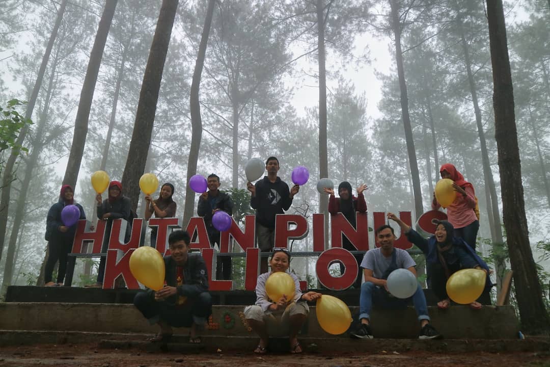 Hutan Pinus Kalilo Kaligesing via @hutanpinuskalilo, 1. Pantai Dewaruci Jatimalang, 2. Pantai Jetis, 3. Pantai Ketawang, 4. Sumber Adventure Center (SAC), 5. Hutan Pinus Kalilo Kaligesing, 6. Alun-alun Kota Purworejo, 7. Masjid Agung Darul Muttaqin Purworejo, 8. Goa Seplawan, 9. Wisata Bukit Sikepel, 10. Wisata Bukit Sikepel, 11. Wisata Curug Gunung Putri, 12. Taman Sidandang, 13. Curug Kaliurip, 14. Puncak Khayangan Sigendol, 15. Pantai Pasir Puncu, 16. Museum Tosan Aji, 17. Puncak Geger Menjangan, 18. Curug Silangit, 19. Gunung Kunir, 20. Curug Kyai Kate, 21. Curug Muncar, 22. TBGS (Taman Batu Goa Sekantong), 23. Wisata Benteng Pendem, 24. Air Terjun ( CURUG SILUMUT ) Loning, 25. Kedung Gulo, 26. Curug Abangan, 27. Goa Nguwik, 28. Curug Lumbung Bener, 29. Desa Wisata Tlogoguwo, 30. Curug Purbayan, 31. Curug Tawing, 32. Sungai Kedung Lesung, 33. Hutan Kusumo Asri