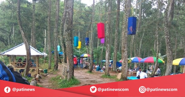 Hutan Pinus Pangonan, 1. Pantai Banyutowo, 2. Hutan Mangrove Pantai Sambilawang Pati, 3. Alun-alun Simpang Lima Pati, 4. Pulau Seprapat, 5. Waduk Gunung Rowo Pati, 6. Waduk Seloromo, 7. Pati Night Carnival, 8. Juwana Water Fantasy, 9. Klating Pucakwangi, 10. Kebun Kopi Jolong, 11. Situs Bersejarah Candi Kayen, 12. Goa Wareh, 13. Sendang Sani Pati, 14. Air Terjun Grenjengan Jolong, 15. Air Terjun Tadah Hujan Pati, 16. Makam Syekh Mutamakkin, 17. Makam Syekh Jangkung Saridin, 18. Wisata Industri PT. Dua Kelinci, 19. Desa Wisata Pemancingan Talun, 20. Pintu Gerbang Majapahit, 21. Petilasan Kadipaten Pati Genuk Kemiri, 22. Goa Pancur, 23. Lorodan Semar, 24. Kran Air Raksasa Melayang, 25. Vihara Gunung Wungkul, 26. Bumi Perkemahan Regaloh, 27. Air Terjun Selonatah, 28. Air Terjun Tretes Tlogowungu, 29. Haul Sunan Prawoto, 30. Hutan Kota Kalidoro, 31. Air Terjun Grenjengan Sewu, 32. Bukit Pandang Duren Sawit, 33. Hutan Pinus Pangonan, 34. Sego Gandul, 35. Sego Tewel Tambak Romo
