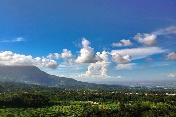 Kawasan Tretes via @yoiki_pasuruan, 1. Kawasan Tretes, 2. Taman Safari Prigen, 3. Pantai Lekok, 4. Gunung Bromo, 5. Bukit Flora, 6. Condido Agro Herbal, 7. Finna Golf & Club Resort, 8. Pantai Penunggul, 9. Pemandian Alam Banyu Biru Pasuruan, 10. Candi Jawi, 11. Candi Gunung Gangsir, 12. Danau Ranu Grati, 13. Kebun Raya Purwodadi, 14. Kebun Apel Khrisna, 15. Agrowisata Bhakti Alam Pasuruan, 16. Air Terjun Gumandar, 17. Air Terjun Sumber Nyonya, 18. Air Terjun / Coban Cemoro Gading, 19. Coban Waru Pasuruan, 20. Coban Rambut Moyo, 21. Air Terjun Kakek Bodo Pasuruan, 22. Air Terjun Putuk Truno, 23. Saygon Waterpark, 24. Sawahe Pak Budi, 25. The Taman Dayu, 26. Alun-alun Pasuruan, 27. Taman Pakuncen, 28. Taman GOR Untung Suropati, 29. Taman Sekargadung, 30. Hutan Mangrove Nguling, 31. Air Terjun Baung, 32. Air Terjun Alap-alap di Pasuruan, 33. Air Terjun Tundo Pitu di Pasuruan, 34. Masjid Cheng Hoo Pandaan, 35. Curug Coban Watu, 36. Saygon Night Park, 37. Kedawung Agro Selfie, 38. Reco Kembar, 39. Pemandian Taman Ria Suropati, 40. Taman Hayati, 41. Candi Belahan (Candi Sumber Tetek)