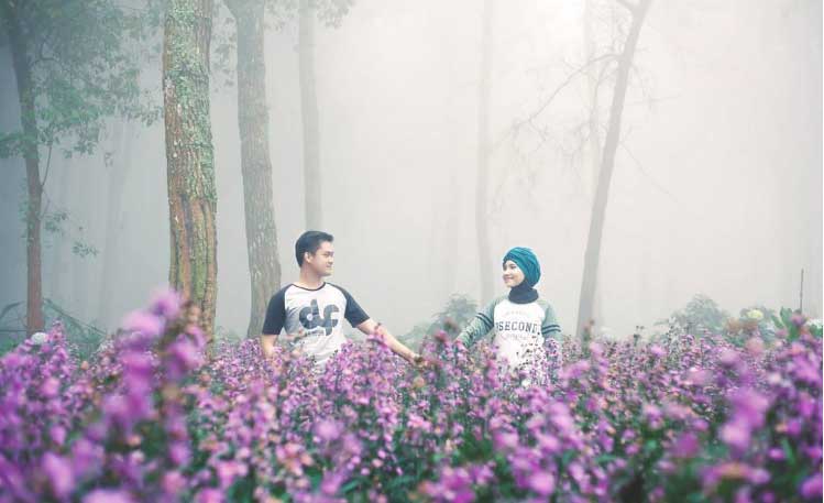 Kebun Raya Purwodadi via @preweddingmalang, 1. Kawasan Tretes, 2. Taman Safari Prigen, 3. Pantai Lekok, 4. Gunung Bromo, 5. Bukit Flora, 6. Condido Agro Herbal, 7. Finna Golf & Club Resort, 8. Pantai Penunggul, 9. Pemandian Alam Banyu Biru Pasuruan, 10. Candi Jawi, 11. Candi Gunung Gangsir, 12. Danau Ranu Grati, 13. Kebun Raya Purwodadi, 14. Kebun Apel Khrisna, 15. Agrowisata Bhakti Alam Pasuruan, 16. Air Terjun Gumandar, 17. Air Terjun Sumber Nyonya, 18. Air Terjun / Coban Cemoro Gading, 19. Coban Waru Pasuruan, 20. Coban Rambut Moyo, 21. Air Terjun Kakek Bodo Pasuruan, 22. Air Terjun Putuk Truno, 23. Saygon Waterpark, 24. Sawahe Pak Budi, 25. The Taman Dayu, 26. Alun-alun Pasuruan, 27. Taman Pakuncen, 28. Taman GOR Untung Suropati, 29. Taman Sekargadung, 30. Hutan Mangrove Nguling, 31. Air Terjun Baung, 32. Air Terjun Alap-alap di Pasuruan, 33. Air Terjun Tundo Pitu di Pasuruan, 34. Masjid Cheng Hoo Pandaan, 35. Curug Coban Watu, 36. Saygon Night Park, 37. Kedawung Agro Selfie, 38. Reco Kembar, 39. Pemandian Taman Ria Suropati, 40. Taman Hayati, 41. Candi Belahan (Candi Sumber Tetek)