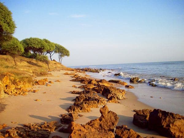 Pantai Sowan Tuban, 1. Pantai Pasir Putih Remen, 2. Pantai Kelapa Tuban, 3. Pantai Boom, 4. Air Terjun Nglirip, 5. Pantai Cemara, 6. Pantai Sowan Tuban, 7. Goa Ngerong Tuban, 8. Goa Akbar, 9. Pemandian Bektiharjo Tuban, 10. Pemandian Air Panas Prataan Tuban, 11. Alun-alun Tuban, 12. Makam Sunan Bonang, 13. Mangrove Center, 14. Klenteng Kwan Sing Bio, 15. Wisata Pelang, 16. Wisata Sendang Asmoro, 17. Masjid Agung Tuban, 18. TAMAN SLEKO, 19. WISATA SILOWO MERAKURAK, 20. Mata Air Krawak, 21. Air Terjun Banyulangse, 22. Goa Suci Tuban, 23. Goa Kancing Tuban, 24. Watu Ondo Tuban, 25. Museum Kambang Putih, 26. Pondok Pesantren Perut Bumi Al – Maghribi, 27. Perum Perhutani KPH Jatirogo, 28. Wisata Tebing Pelangi, 29. Air Terjun Sanggrahan, 30. Air Terjun Wukirharjo, 31. Pantai Socorejo, 32. Kambang Putih Tuban Park, 33. Taman Hutan Kota Tuban, 34. Sendang Wangi, 35. Pantai Surindah, 36. Tanazawi Agriculture EduPark & Leisure – Kebun Durian, 37. Goa Putri Asih, 38. Air Terjun Lembah Bongok Tuban, 39. Bukit Trantang, 1. Garang Asem, 2. Belut Goreng Ala Tuban