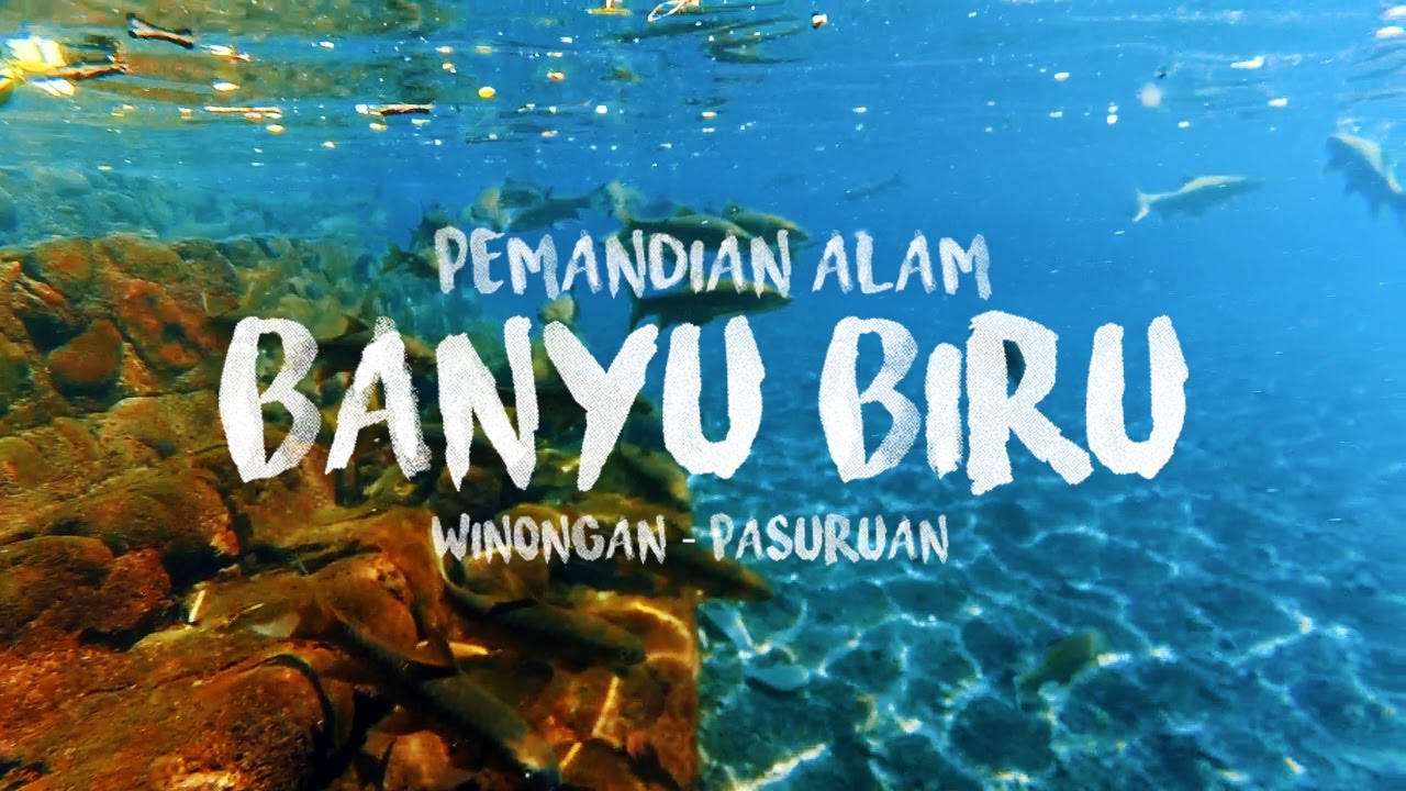 Pemandian Alam Banyu Biru Pasuruan via Youtube, 1. Kawasan Tretes, 2. Taman Safari Prigen, 3. Pantai Lekok, 4. Gunung Bromo, 5. Bukit Flora, 6. Condido Agro Herbal, 7. Finna Golf & Club Resort, 8. Pantai Penunggul, 9. Pemandian Alam Banyu Biru Pasuruan, 10. Candi Jawi, 11. Candi Gunung Gangsir, 12. Danau Ranu Grati, 13. Kebun Raya Purwodadi, 14. Kebun Apel Khrisna, 15. Agrowisata Bhakti Alam Pasuruan, 16. Air Terjun Gumandar, 17. Air Terjun Sumber Nyonya, 18. Air Terjun / Coban Cemoro Gading, 19. Coban Waru Pasuruan, 20. Coban Rambut Moyo, 21. Air Terjun Kakek Bodo Pasuruan, 22. Air Terjun Putuk Truno, 23. Saygon Waterpark, 24. Sawahe Pak Budi, 25. The Taman Dayu, 26. Alun-alun Pasuruan, 27. Taman Pakuncen, 28. Taman GOR Untung Suropati, 29. Taman Sekargadung, 30. Hutan Mangrove Nguling, 31. Air Terjun Baung, 32. Air Terjun Alap-alap di Pasuruan, 33. Air Terjun Tundo Pitu di Pasuruan, 34. Masjid Cheng Hoo Pandaan, 35. Curug Coban Watu, 36. Saygon Night Park, 37. Kedawung Agro Selfie, 38. Reco Kembar, 39. Pemandian Taman Ria Suropati, 40. Taman Hayati, 41. Candi Belahan (Candi Sumber Tetek)