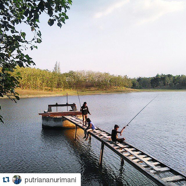 Waduk Gambringan via @Wisatagrobogan, 1. Waduk Kedung Ombo, 2. Waduk Klambu, 3. Waduk Cindelaras, 4. Waduk Nglangon, 5. Objek Wisata Bledug Kuwu Grobogan, 6. Goa Macan dan Goa Lowo, 7. Goa Urang Grobogan, 8. Wisata Api Abadi Mrapen, 9. Air Terjun Gulingan, 10. Air Terjun Widuri, 11. Objek Wisata Jati Pohon Indah, 12. Objek Wisata Lumpur Kesongo, 13. White Canyon, 14. Kalibiru Grobogan, 15. Kedung Kempul, 16. Sendang Coyo Grobogan, 17. Tugu Lasi, 18. Danau Resto Purwodadi, 19. Kolam Renang Ayodya, 20. Desa Wisata Banjarejo, 21. Bendungan Klambu, 22. Waduk Gambringan, 23. Masjid K.H. Burham, 24. Cindelaras, 25. Taman Remaja Pungkruk, 26. Agrowisata Kebun Blimbing Grobogan, 27. Makam Ki Ageng Selo, 28. Waterboom Mulia Klambu, 29. Waterpark ‘n Snow Gubug, 30. Master Park Purwodadi – Aircraft and Air Travel Master Park, 31. Arung Jeram Grobogan, 32. Wisata Tengah Sawah (WTS), 33. Grojogan Jati Anom, 34. Waduk Butak, 35. Bendungan Glapan Munir, 36. Waduk Sidorejo, 37. Bendungan Dumpil, 38. Wisata Air Terjun Taruman, 39. Sendang Keongan, 40. Grojogan Kinasih, 41. Air Terjun Nganyongan, 42. Puncak Pelangi Gunung Ulo, 43. Menara Simpang Lima, 44. Air Terjun Watu Ondo, 45. Air Terjun Bengkat, 46. Kedung Tlawah, 47. Grojogan Ngrandu