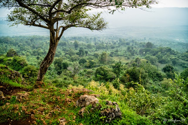 Watu Ondo Tuban, 1. Pantai Pasir Putih Remen, 2. Pantai Kelapa Tuban, 3. Pantai Boom, 4. Air Terjun Nglirip, 5. Pantai Cemara, 6. Pantai Sowan Tuban, 7. Goa Ngerong Tuban, 8. Goa Akbar, 9. Pemandian Bektiharjo Tuban, 10. Pemandian Air Panas Prataan Tuban, 11. Alun-alun Tuban, 12. Makam Sunan Bonang, 13. Mangrove Center, 14. Klenteng Kwan Sing Bio, 15. Wisata Pelang, 16. Wisata Sendang Asmoro, 17. Masjid Agung Tuban, 18. TAMAN SLEKO, 19. WISATA SILOWO MERAKURAK, 20. Mata Air Krawak, 21. Air Terjun Banyulangse, 22. Goa Suci Tuban, 23. Goa Kancing Tuban, 24. Watu Ondo Tuban, 25. Museum Kambang Putih, 26. Pondok Pesantren Perut Bumi Al – Maghribi, 27. Perum Perhutani KPH Jatirogo, 28. Wisata Tebing Pelangi, 29. Air Terjun Sanggrahan, 30. Air Terjun Wukirharjo, 31. Pantai Socorejo, 32. Kambang Putih Tuban Park, 33. Taman Hutan Kota Tuban, 34. Sendang Wangi, 35. Pantai Surindah, 36. Tanazawi Agriculture EduPark & Leisure – Kebun Durian, 37. Goa Putri Asih, 38. Air Terjun Lembah Bongok Tuban, 39. Bukit Trantang, 1. Garang Asem, 2. Belut Goreng Ala Tuban