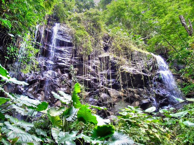 Wisata Air Terjun Selendang 7 Bidadari, 1. Wisata Sawah Sumber Gempong, 2. Bernah De Vallei, 3. Waterland Mojokerto, 4. Candi Bajang Ratu, 5. Candi Brahu, 6. Candi Tikus, 7. Candi Wringin Lawang, 8. Kolam Segaran, 9. Museum Trowulan, 10. Mahavihara Majapahit, 11. Patung Buddha Tidur, 12. Pendopo Agung Trowulan, 13. Air Terjun Coban Canggu, 14. Air Terjun Dlundung Mojokerto, 15. Pacet Mini Park Mojokerto, 16. Joglo Park Mojokerto, 17. Candi Jolotundo, 18. Klurak Eco Park, 19. Puncak Bayangan Gunung Penanggungan, 20. Pemandian Air Panas Padusan, 21. Air Terjun Grenjengan, 22. Api Abadi Mojokerto, 23. Bukit Watu Jengger, 24. Claket Adventure Park, 25. Air Terjun 7 Bidadari, 26. Pacet Hill, 27. Air Terjun Duyung Trawas Hill, 28. Fresh Green Trawas, 29. PPLH Seloliman Trawas, 30. Obech Rafting Pacet, 31. Sumber Wuluh, 32. Air Terjun Watu Ondo, 33. Alun-alun Mojokerto, 34. Wisata Desa BMJ Mojopahit, 35. Wisata Bukit Kayoe putih, 36. Taman Semeru, 37. Ranu Manduro, 38. Wisata Waduk Tanjungan, 39. Taman Kehati, 40. Reco Banteng Hayam Wuruk, 41. Benteng Taman, 42. Air Terjun Watu Gedhek, 43. Coban Talun, 44. Wisata Sumber Dhuwur Sidorejo, 45. Rainbow Garden Poetoek Soeko, 46. MOLAGAR, 47. WET SENDI 2, 48. Situs Siti Inggil, 49. Balai Pelestarian Cagar Budaya, 50. Wanawisata Dlundung, 51. Candi Kesiman, 52. Candi Bangkal, 53. Museum Sanggar Gubug Wayang, 54. Air Terjun Surodadu, 55. Petik Strawberry Padusan, 56. Gua gembyang, 57. Candi Jedong, 58. Air Terjun Watu Lumpang, 59. Situs Reco Lanang, 60. Pemandian Ubalan, 61. Makam Troloyo