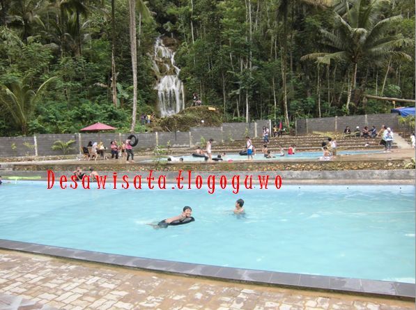Wisata Edukasi Tlogoguwo via Tlogoguwo, 1. Pantai Dewaruci Jatimalang, 2. Pantai Jetis, 3. Pantai Ketawang, 4. Sumber Adventure Center (SAC), 5. Hutan Pinus Kalilo Kaligesing, 6. Alun-alun Kota Purworejo, 7. Masjid Agung Darul Muttaqin Purworejo, 8. Goa Seplawan, 9. Wisata Bukit Sikepel, 10. Wisata Bukit Sikepel, 11. Wisata Curug Gunung Putri, 12. Taman Sidandang, 13. Curug Kaliurip, 14. Puncak Khayangan Sigendol, 15. Pantai Pasir Puncu, 16. Museum Tosan Aji, 17. Puncak Geger Menjangan, 18. Curug Silangit, 19. Gunung Kunir, 20. Curug Kyai Kate, 21. Curug Muncar, 22. TBGS (Taman Batu Goa Sekantong), 23. Wisata Benteng Pendem, 24. Air Terjun ( CURUG SILUMUT ) Loning, 25. Kedung Gulo, 26. Curug Abangan, 27. Goa Nguwik, 28. Curug Lumbung Bener, 29. Desa Wisata Tlogoguwo, 30. Curug Purbayan, 31. Curug Tawing, 32. Sungai Kedung Lesung, 33. Hutan Kusumo Asri
