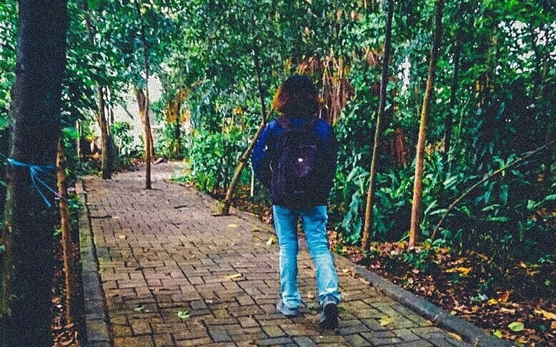 Hutan Kota Srengseng via @rurryjuliansyah31, 1. Tebet Eco Park, 2. Taman Lapangan Banteng, 3. Taman Suropati, 4. Taman Menteng , 5. Hutan Kota Srengseng, 6. Taman Kalijodo , 7. Taman Tabebuya , 8. Taman Cattleya , 9. Taman Hutan Kota Penjaringan, 10. Taman Spathodea , 11. Taman Situ Lembang , 12. Taman Ayodia – Barito , 13. Taman Tangkuban Perahu, 14. Taman Langsat , 15. Taman Prasasti, 16. Taman Waduk Pluit , 17. Taman Tribeca , 18. Taman Mataram , 19. Taman Ria Rio , 20. Taman Puring, 21. Taman Cornel Simanjuntak, 22. Taman Dadap Merah, 23. Taman Kelapa