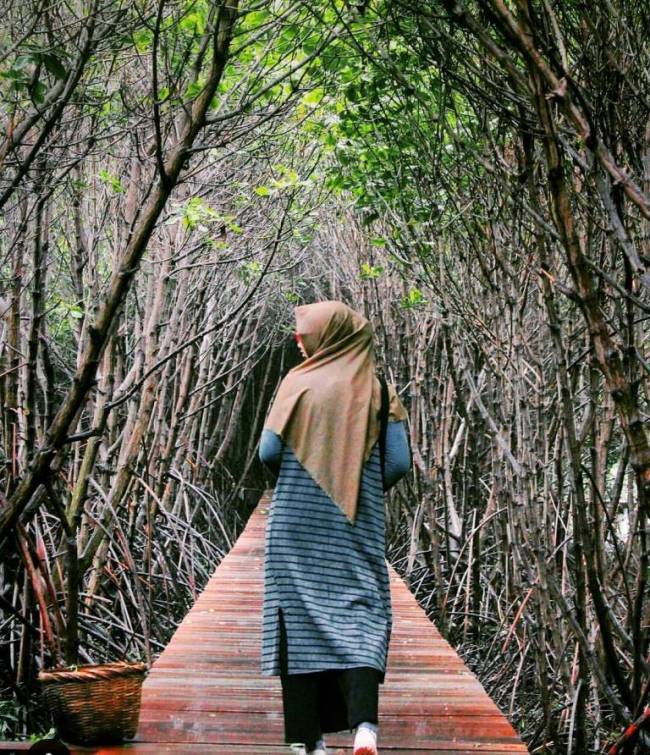 Hutan Mangrove Kaliwlingi via @fitrianingsih18, 1. Waduk Penjalin, 2. Hutan Mangrove Kaliwlingi, 3. Pantai Randusanga / Randusongo, 4. Agrowisata Besaran, 5. Wisata Pasir Gibug, 6. Masjid Agung Brebes, 7. Kalibaya Park, 8. Pabrik Gula Jatibarang, 9. Taman Edukasi, 10. Curug Putri, 11. Kebun Teh Kali Gua, 12. Candi Pangkuan, 13. Air Terjun Ranto Canyon, 14. Kampung Budaya Dusun Jalaswatu, 15. Pemandian Air Panas Tirta Husada, 16. Pemandian Air Panas Cipanas Buaran, 17. Ciblon Waterboom, 18. Bukit Cawiri, Dadablangan Malahayu, 19. Waduk Malahayu, 20. Cagar Alam Telaga Ranjeng, 21. Bukit Panenjoan, 22. Bukit AADT yang Menawan , 23. Bukit Baper yang Menawan , 24. Puncak Sakub, 25. Alun – Alun Brebes, 26. Pulau Hantu Sigempol, 27. Bukit Bintang Capar yang eksotik, 28. Gunung Gora, 29. Curug Cantel, 30. Kebon Gedhang, 31. Bukit Gerdesy – Taman Gerdesty Cilibur, 32. Pulau Cemara Sawojajar Brebes, 33. Gunung Nyapa, 34. Curug Awu, 35. Curug Panyusuhan, 37. Curug Rambukasang yang tersembunyi, 38. Curug Lebak Beber Wetan