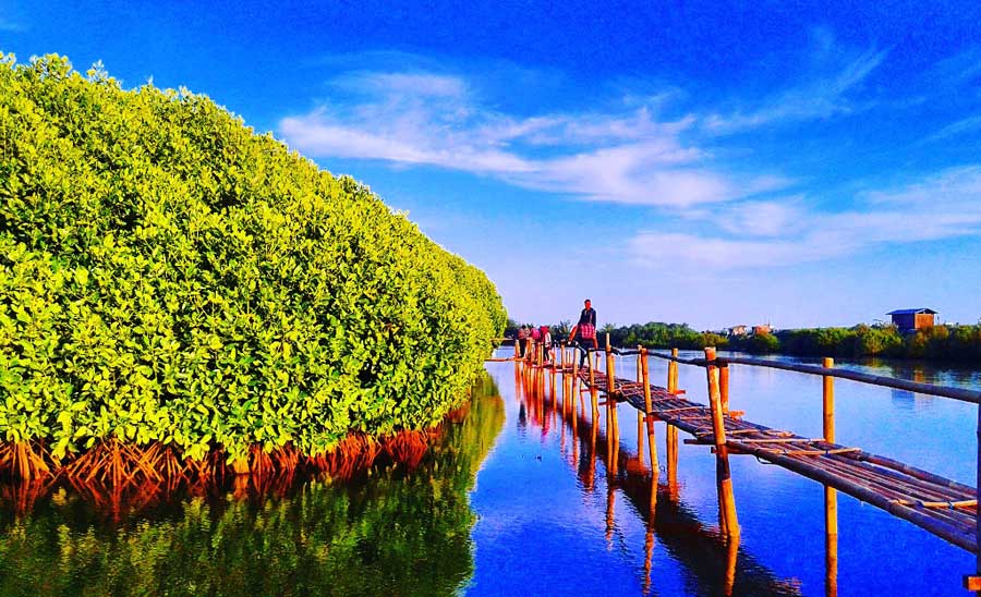 Hutan Mangrove Pantai Congot via Kotajogjacom, 1. Kalibiru, 2. Waduk Sermo, 3. Gunung Ijo, 4. Puncak Suroloyo, 5. Kebun Teh Nglinggo, 6. Puncak Gunung Lanang, 7. Waduk Mini Kleco, 8. Goa Kiskendo, 9. Kedung Pedut, 10. Air Terjun Sidoharjo, 11. Air Terjun Grojogan Sewu, 12. Pantai Glagah, 13. Pantai Trisik, 14. Pantai Congot, 15. Wildlife Rescue Center, 16. Puncak Widosari, 17. Arung Jeram Sungai Progo, 18. Air Terjun Kembangsoka, 19. Goa Sriti Kulon Progo, 20. Hutan Mangrove Pantai Congot, 21. Goa Kebon Krembangan, 22. Pantai Bugel, 23. Bendungan Ancol, 24. Bukit Isis Kulon Progo, 25. Taman Sungai Mudal, 26. Air Terjun Setawing, 27. Pantai Pasir Kadilangu, 28. Embung Banjaroya, 29. Puncak Dipowono Kulon Progo, 30. Wisata Hutan Mangrove Jembatan Api-api, 31. Hutan Pinus Girimulyo, 32. Bendung Kayangan, 33. Kebun Bunga Krisan Gerbosari, 34. Rafting Kalibawang, 35. Bukit Cendana, 36. Air Terjun Kedung Ingas, 37. Kedung Bendo, 38. Pule Payung, 39. Bukit Jangkang, 40. Tebing Gunung Gajah, 42. Puncak Kuda Sembrani, 43. Ayunan Langit Watu Jaran, 44. Curug Siluwok, 45. Gunung Kukusan