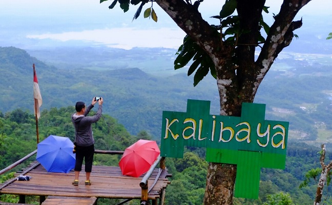 Puncak Gunung Lio via Bonvoyagejogja, 1. Waduk Penjalin, 2. Hutan Mangrove Kaliwlingi, 3. Pantai Randusanga / Randusongo, 4. Agrowisata Besaran, 5. Wisata Pasir Gibug, 6. Masjid Agung Brebes, 7. Kalibaya Park, 8. Pabrik Gula Jatibarang, 9. Taman Edukasi, 10. Curug Putri, 11. Kebun Teh Kali Gua, 12. Candi Pangkuan, 13. Air Terjun Ranto Canyon, 14. Kampung Budaya Dusun Jalaswatu, 15. Pemandian Air Panas Tirta Husada, 16. Pemandian Air Panas Cipanas Buaran, 17. Ciblon Waterboom, 18. Bukit Cawiri, Dadablangan Malahayu, 19. Waduk Malahayu, 20. Cagar Alam Telaga Ranjeng, 21. Bukit Panenjoan, 22. Bukit AADT yang Menawan , 23. Bukit Baper yang Menawan , 24. Puncak Sakub, 25. Alun – Alun Brebes, 26. Pulau Hantu Sigempol, 27. Bukit Bintang Capar yang eksotik, 28. Gunung Gora, 29. Curug Cantel, 30. Kebon Gedhang, 31. Bukit Gerdesy – Taman Gerdesty Cilibur, 32. Pulau Cemara Sawojajar Brebes, 33. Gunung Nyapa, 34. Curug Awu, 35. Curug Panyusuhan, 37. Curug Rambukasang yang tersembunyi, 38. Curug Lebak Beber Wetan