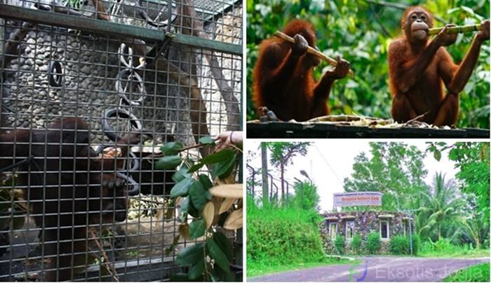 Wildlife Rescue Center via Eksotisjogja, 1. Kalibiru, 2. Waduk Sermo, 3. Gunung Ijo, 4. Puncak Suroloyo, 5. Kebun Teh Nglinggo, 6. Puncak Gunung Lanang, 7. Waduk Mini Kleco, 8. Goa Kiskendo, 9. Kedung Pedut, 10. Air Terjun Sidoharjo, 11. Air Terjun Grojogan Sewu, 12. Pantai Glagah, 13. Pantai Trisik, 14. Pantai Congot, 15. Wildlife Rescue Center, 16. Puncak Widosari, 17. Arung Jeram Sungai Progo, 18. Air Terjun Kembangsoka, 19. Goa Sriti Kulon Progo, 20. Hutan Mangrove Pantai Congot, 21. Goa Kebon Krembangan, 22. Pantai Bugel, 23. Bendungan Ancol, 24. Bukit Isis Kulon Progo, 25. Taman Sungai Mudal, 26. Air Terjun Setawing, 27. Pantai Pasir Kadilangu, 28. Embung Banjaroya, 29. Puncak Dipowono Kulon Progo, 30. Wisata Hutan Mangrove Jembatan Api-api, 31. Hutan Pinus Girimulyo, 32. Bendung Kayangan, 33. Kebun Bunga Krisan Gerbosari, 34. Rafting Kalibawang, 35. Bukit Cendana, 36. Air Terjun Kedung Ingas, 37. Kedung Bendo, 38. Pule Payung, 39. Bukit Jangkang, 40. Tebing Gunung Gajah, 42. Puncak Kuda Sembrani, 43. Ayunan Langit Watu Jaran, 44. Curug Siluwok, 45. Gunung Kukusan