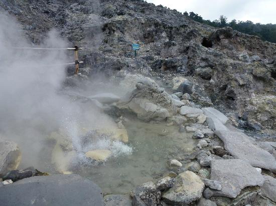 Kawah Domas, 1. Gunung Tangkuban Perahu, 2. Trans Studio Bandung, 3. Wisata Kawah Putih Ciwidey, 4. Curug Dago di Bandung, 5. Wisata Belanja Pasar Baru di Bandung, 6. Wisata Edukasi Observatorium Bosscha di Bandung, 7. Wisata Alam Danau Situ Patenggang di Bandung, 8. Wisata Air Panas Ciater, 9. Wisata Kampung Gajah di Bandung (Tutup Permanen), 10. Tempat Wisata Kebun Binatang di Bandung, 11. Wisata Rumah Mode Bandung, 12. Wisata Seni Saung Angklung Udjo Di Bandung, 13. Wisata Edukasi Museum Geologi Bandung, 14. Paskal Food Market, 15. Rumah Strawberry Ciwidey, 16. Cihampelas Walk, 17. Museum Konferensi Asia Afrika, 18. Museum Sri Baduga Bandung, 19. Taman Lalu Lintas Ade Irma Suryani, 20. Kolam Renang Karang Setra, 21. Taman Wisata Alam Maribaya, 22. Kawasan Punclut Bandung Utara, 23. Kebun Bunga Cihideung, 24. Tempat Wisata De’Ranch, 25. Wisata Kuliner Floating Market, 26. Perkebunan Teh Rancabali, 27. Wisata Air Panas Ciwalini, 28. Wisata Bumi Perkemahan Ranca Upas, 29. Little Seoul Bandung, 30. Dusun Bambu Lembang, 31. Taman Hutan Raya Ir Djuanda, 32. Curug Upas, 33. Ciwidey Valley Resort, 34. Sendang Kahuripan, 35. Situ Cileunca, 36. Taman Balai Kota, 37. Gunung Puntang, 38. Stone Garden, 39. Chinatown Bandung, 40. Bird Pavilion, 41. Curug Malela, 42. Tebing Keraton, 43. Puncak Bintang, 44. Amazing Art World, 45. Street Gourmet, 46. Curug Cimahi, 47. Tafso Barn, 48. Sanghyang Heuleut, 49. The Great Asia Afrika, 50. Tebing Citatah, 51. Jalan Braga, 52. D’Dieuland, 53. Jembatan Kereta Api Cikudapateuh Ciwidey, 54. Upside Down World Bandung, 55. Orchid Forest Cikole, 56. Kebun Teh Sukawana, 57. Kampoeng Tulip, 58. Kampung Pasir Ipis, 59. Kebun Bunga Begonia, 60. Wisata Grafika Cikole, 61. Pine Forest Camp Lembang, 62. The Lodge Maribaya, 63. Farm House Susu Lembang, 64. Glamping Lakeside, 65. Curug Keraton Cibodas, 66. Curug Layung Lembang, 67. Curug Tilu Leuwi Opat, 68. Jendela Alam, 69. Ciwangun Indah Camp (CIC) Lembang, 70. Taman Miniatur Kereta Api, 71. Lereng Anteng Panoramic Coffee, 72. Gunung Putri Lembang, 73. Kawasan Berkuda Ganesha H Equestrian, 74. Bukit Labyrinth Ganesha H Equestrian, 75. Bukit Pangjebolan Lembang, 76. Argowisata Kawah Rengganis, 77. Pemandian Air Panas Ciwalini, 78. Curug Cipanji Bandung, 79. Wisata Air Curug Tilu, 80. Bukit Jamur Rancabolang Ciwidey, 81. Barusen Hills, 82. Kampung Cai Rancaupas, 83. Bumi Perkemahan Ranca Cangkuang, 84. Cimanggu Hot Spring & Cottage, 85. Taman Kelinci Ciwidey, 86. Danau eMTe Highland Resort, 87. Green Hill Park TWA Cimanggu