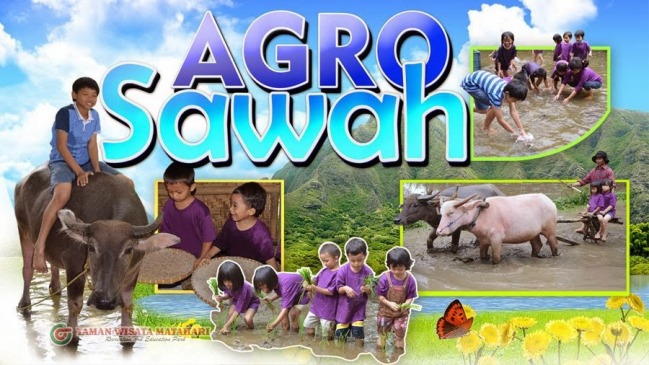 Agro Sawah, Sejarah Taman Matahari Bogor, Informasi Dasar Taman Matahari Bogor, Lokasi & Rute Menuju Taman Matahari, Permainan dan Fasilitas Taman Matahari Bogor, Penginapan di Sekitar Taman Matahari Bogor, Harga Tiket Masuk Taman Wisata Matahari, Daftar Harga Paket Wisata