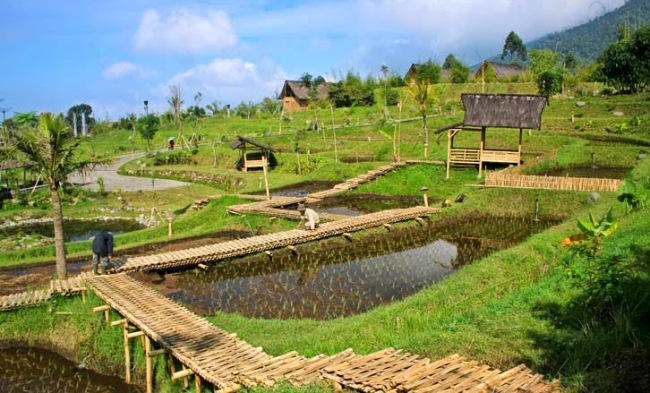 Bermain Balad Lodaya, Lokasi dan Rute Menuju Dusun Bambu, Aktivitas yang Bisa Dilakukan di Dusun Bambu, Jam Operasional dan Harga Tiket Masuk Dusun Bambu, Harga Tiket Masuk Dusun Bambu Lembang