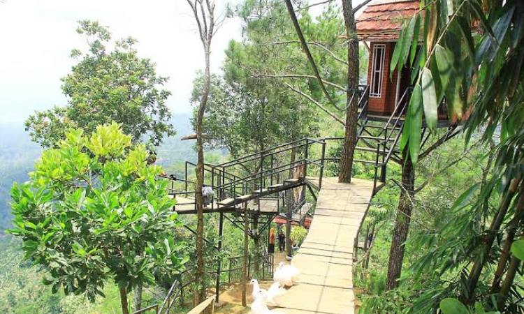 Bukit Asmara Situk via Mgriyahotel, 1. Kawah Sikidang Dieng, 2. Kompleks Percandian Arjuna, 3. Taman Margasatwa Serulingmas, 4. D’Qiano Hot Spring Waterpark, 5. Museum Kailasa Dieng, 6. Arung Jeram Sungai Serayu, 7. Surya Yudha Park Banjarnegara, 8. Candi Bima, 9. Pemandian Air Panas Pingit, 10. Kawah Candradimuka, 11. Gunung Lanang, 12. Kawah Sileri Dieng, 13. Sumur Jalatunda Dieng, 14. Curug Pitu Banjarnegara, 15. Curug Mrawu, 16. Curug Sikopel, 17. Telaga Merdada Banjarnegara, 18. Telaga Dringo, 19. Waduk Mrica, 20. Candi Gatot Kaca, 21. Tampo Mas, 22. Curug Pletuk, 23. Serayu Park, 24. Kolam Renang Serulingmas, 25. Pesona Curug Muncar Banjarnegara, 26. Bukit Asmara Situk (Tutup Sementara), 27. Bukit Watu Sodong, 28. Bukit Icika, 29. Bukit Rumpit Bike Park, 30. Taman Kardjono, 31. BUARAN (Bukit Ares Pawinihan), 32. Curug Kuripan, 33. Pemandian air hangat segar asri, 34. Wisata Dawuhan, 35. Air Terjun Genting, 36. Bukit Skoter, 37. Curug Sinom Indah Kalibening, 38. Telaga Balai Kambang, 39. Wadas Tumpang Banjarnegara, 40. Anglir Mendung Banjarnegara, 41. Curug Pundung Sewu Banjarnegara, 1. Warung Makan Soto Krandegan, 2. Combro Kalipalet, 3. Bakso Ketupat Belakang Polres, 4. Saung Bu Mansyur