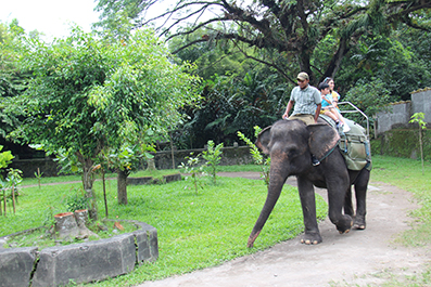 Gajah Tunggang, Informasi Umum, Alamat dan Rute Menuju Kebun Binatang Gembira Loka, Fasilitas di Gembira Loka, Aktivitas Seru di Gembira Loka, Harga Tiket Masuk Gembira Loka, Tips Liburan ke Gembira Loka
