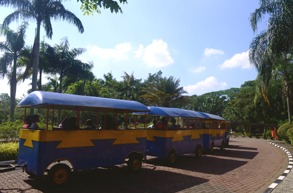Kereta Keliling via Wegocom, Alamat Kebun Binatang Ragunan, Mengenal Tentang Kebun Binatang, Sejarah Kebun Binatang Ragunan Jakarta, Koleksi Hewan di Kebun Binatang Ragunan, Fasilitas di Kebun Binatang Ragunan Jakarta, Tips Liburan ke Kebun Binatang Ragunan