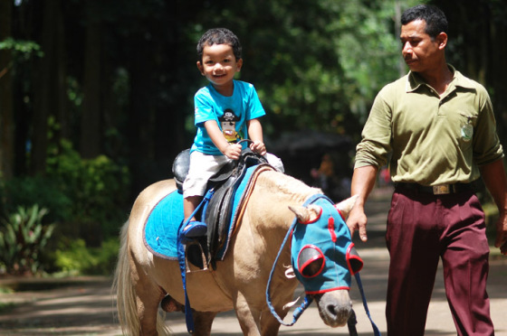 Kuda Tunggang via nyonyaerlangga.wordpress.com, Alamat Kebun Binatang Ragunan, Mengenal Tentang Kebun Binatang, Sejarah Kebun Binatang Ragunan Jakarta, Koleksi Hewan di Kebun Binatang Ragunan, Fasilitas di Kebun Binatang Ragunan Jakarta, Tips Liburan ke Kebun Binatang Ragunan
