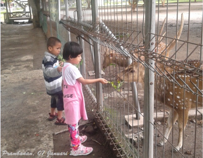 Memberi Makan Rusa di Candi Prambanan via Triyantobanyumasan, Lokasi dan Rute Menuju Candi Prambanan, Sejarah Candi Prambanan, Daya Tarik Candi Prambanan, Penginapan di Sekitar Candi Prambanan, Harga Tiket Masuk Candi Prambanan, Tips Liburan ke Candi Prambanan