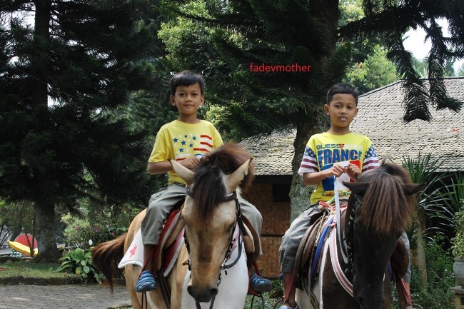 Naik Kuda di Sari Ater, Lokasi dan Rute Menuju Sari Ater, Sejarah Pemandian Sari Ater, Daya Tarik Wisata Pemandian Sari Ater, Harga Tiket Masuk Sari Ater, Penginapan di Sekitar Pemandian Sari Ater, Tempat Wisata di Sekitar Pemandian Sari Ater, Tips Liburan ke Pemandian Sari Ater