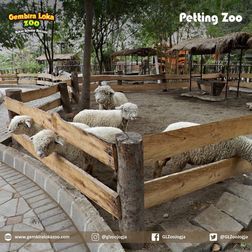 Petting Zoo, Informasi Umum, Alamat dan Rute Menuju Kebun Binatang Gembira Loka, Fasilitas di Gembira Loka, Aktivitas Seru di Gembira Loka, Harga Tiket Masuk Gembira Loka, Tips Liburan ke Gembira Loka