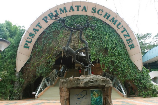 Ragunan Primata Schmutzer via Indonesiakayacom, Sejarah Kebun Binatang Ragunan, Informasi Dasar Kebun Binatang Ragunan, Rute Menuju Kebun Binatang Ragunan, Harga Tiket Masuk Ragunan Terbaru, Wahana Wisata Kebun Binatang Ragunan, Tips dan Saran Mengunjungi Ragunan