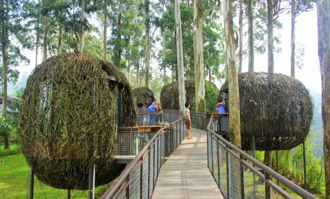 Restoran Lutung Kasarung, Lokasi dan Rute Menuju Dusun Bambu, Aktivitas yang Bisa Dilakukan di Dusun Bambu, Jam Operasional dan Harga Tiket Masuk Dusun Bambu, Harga Tiket Masuk Dusun Bambu Lembang