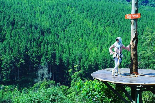 Sky Tree via IG @alfina_sarf, Lokasi dan Rute Menuju Maribaya Resort, Wahana dan Fasilitas di Maribaya Resort, Wahana The Lodge Maribaya , Kuliner Lezat di Maribaya, Harga Tiket Masuk Maribaya Resort, Tips Liburan ke Maribaya Resort