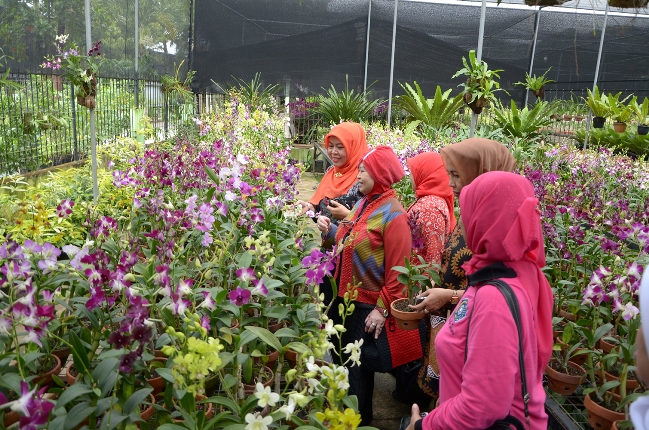 Taman Anggrek Ragunan via Santiorchid.wordpresscom, Sejarah Kebun Binatang Ragunan, Informasi Dasar Kebun Binatang Ragunan, Rute Menuju Kebun Binatang Ragunan, Harga Tiket Masuk Ragunan Terbaru, Wahana Wisata Kebun Binatang Ragunan, Tips dan Saran Mengunjungi Ragunan