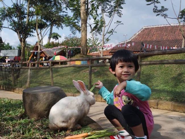 Taman Kelinci Floating Market via Youtube