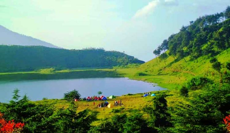 Telaga Dringo, 1. Kawah Sikidang Dieng, 2. Kompleks Percandian Arjuna, 3. Taman Margasatwa Serulingmas, 4. D’Qiano Hot Spring Waterpark, 5. Museum Kailasa Dieng, 6. Arung Jeram Sungai Serayu, 7. Surya Yudha Park Banjarnegara, 8. Candi Bima, 9. Pemandian Air Panas Pingit, 10. Kawah Candradimuka, 11. Gunung Lanang, 12. Kawah Sileri Dieng, 13. Sumur Jalatunda Dieng, 14. Curug Pitu Banjarnegara, 15. Curug Mrawu, 16. Curug Sikopel, 17. Telaga Merdada Banjarnegara, 18. Telaga Dringo, 19. Waduk Mrica, 20. Candi Gatot Kaca, 21. Tampo Mas, 22. Curug Pletuk, 23. Serayu Park, 24. Kolam Renang Serulingmas, 25. Pesona Curug Muncar Banjarnegara, 26. Bukit Asmara Situk (Tutup Sementara), 27. Bukit Watu Sodong, 28. Bukit Icika, 29. Bukit Rumpit Bike Park, 30. Taman Kardjono, 31. BUARAN (Bukit Ares Pawinihan), 32. Curug Kuripan, 33. Pemandian air hangat segar asri, 34. Wisata Dawuhan, 35. Air Terjun Genting, 36. Bukit Skoter, 37. Curug Sinom Indah Kalibening, 38. Telaga Balai Kambang, 39. Wadas Tumpang Banjarnegara, 40. Anglir Mendung Banjarnegara, 41. Curug Pundung Sewu Banjarnegara, 1. Warung Makan Soto Krandegan, 2. Combro Kalipalet, 3. Bakso Ketupat Belakang Polres, 4. Saung Bu Mansyur