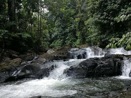 Wisata Batu Ngampar via tripadvisor-com, 1. Mega Wisata Icakan, 2. Kampung Adat Kuta, 3. Curug Tujuh Cibolang, 4. Situ Lengkong Panjalu, 5. Cagar Alam Pananjung, 6. Cukang Taneuh atau Green Canyon, 7. Pantai Pangandaran, 8. Ciung Wanara, 9. Jembatan Sasak Cirahong, 10. Masjid Agung Ciamis, 11. Pantai Karang Nini, 12. Pantai Batu Karas, 13. Lembah Putri, 14. Puncak Bangku Rancah, 15. Pantai Batu Hiu, 16. Astana Gede Kawali, 17. Wisata Batu Ngampar, 18. Rafting Sungai Citumang, 19. Alun-Alun Ciamis, 20. Taman Surawisesa Kawali, 21. Situs Gunung Susuru, 22. Taman Raflesia, 23. Sukahaji Waterboom, 24. Rumah Makan Warung Jeruk, 25. Rumah Makan Ampera Ciamis, 26. Wisata Sungai Citumang, 27. Arung Jeram di Sungai Citanduy