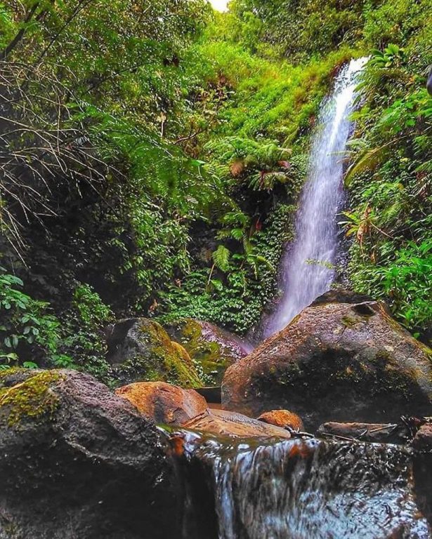 Air Terjun Pring Jowo via IG @rizkiadi_19, 1. Air Terjun Sedudo , 2. Watu Lawang , 3. Taman Pandan Wilis , 4. WM Mini WaterPark Sawahan, 5. Bukit Surga, 6. Wisata Taman Cengkok Asri ( WTC Asri ), 7. Air Terjun Roro Kuning , 8. Candi Ngetos , 9. Taman Pintar Nganjuk, 10. Goa Margo Tresno , 11. Taman Wisata Manyung, 12. Taman Lembah Djati, 13. Air Terjun Singokromo, 14. Waduk Perning , 15. Bukit Salju Ngetos, 16. Waduk Putukrejo , 17. Wisata Sumbermiri Nganjuk, 18. Sendang Putri Wilis , 19. Wisata Bukit Batu Songgong , 20. Monumen Dr. Soetomo, 21. Museum Anjuk Ladang , 22. Taman Rekreasi Anjuk Ladang , 23. Pura Kerta Bhuwana Giri Wilis , 24. Agrowisata ONOKABE, 25. Monumen Jenderal Soedirman , 26. Embung Estumulyo, 27. Air Terjun Watu Lumbung, 28. Agro Wisata Ganter , 29. Klenteng Hok Yoe Kiong , 30. Masjid Yoni Al – Mubarok, 31. Makam Kanjeng Jimat , 27. Air Terjun Tirto Panji ????, 32. Air Terjun Watu Leter, 33. Monumen Gerilya Jenderal Sudirman , 34. Bukit Goa Dali , 35. Watu Gandul , 36. Candi Lor , 37. Goa Dan Grojogan Putri Ayu , 38. Air Terjun Pring Jowo , 39. Waduk Oro-oro Ombo, 40. Air Terjun Gedangan , 41. Air Terjun Sri Gunting , 42. Air Terjun Sumber Manik , 43. Air Terjun Ngebleng , 44. Air Terjun Sumberanjlok, 45. Air Terjun Coban Tretes 