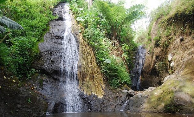 Air Terjun Roro Kuning via Dzofar, 1. Air Terjun Sedudo , 2. Watu Lawang , 3. Taman Pandan Wilis , 4. WM Mini WaterPark Sawahan, 5. Bukit Surga, 6. Wisata Taman Cengkok Asri ( WTC Asri ), 7. Air Terjun Roro Kuning , 8. Candi Ngetos , 9. Taman Pintar Nganjuk, 10. Goa Margo Tresno , 11. Taman Wisata Manyung, 12. Taman Lembah Djati, 13. Air Terjun Singokromo, 14. Waduk Perning , 15. Bukit Salju Ngetos, 16. Waduk Putukrejo , 17. Wisata Sumbermiri Nganjuk, 18. Sendang Putri Wilis , 19. Wisata Bukit Batu Songgong , 20. Monumen Dr. Soetomo, 21. Museum Anjuk Ladang , 22. Taman Rekreasi Anjuk Ladang , 23. Pura Kerta Bhuwana Giri Wilis , 24. Agrowisata ONOKABE, 25. Monumen Jenderal Soedirman , 26. Embung Estumulyo, 27. Air Terjun Watu Lumbung, 28. Agro Wisata Ganter , 29. Klenteng Hok Yoe Kiong , 30. Masjid Yoni Al – Mubarok, 31. Makam Kanjeng Jimat , 27. Air Terjun Tirto Panji ????, 32. Air Terjun Watu Leter, 33. Monumen Gerilya Jenderal Sudirman , 34. Bukit Goa Dali , 35. Watu Gandul , 36. Candi Lor , 37. Goa Dan Grojogan Putri Ayu , 38. Air Terjun Pring Jowo , 39. Waduk Oro-oro Ombo, 40. Air Terjun Gedangan , 41. Air Terjun Sri Gunting , 42. Air Terjun Sumber Manik , 43. Air Terjun Ngebleng , 44. Air Terjun Sumberanjlok, 45. Air Terjun Coban Tretes 