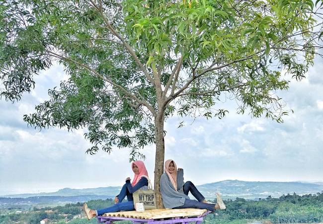 Gunung Cengklik Foto dok-is, 1. Goa Terawang, 2. Goa Sentono, 3. Museum Mahameru, 4. Replika Fosil Gajah Purba Blora, 5. Keraton Jipang, 6. Monumen Arjuna Wiwaha Cepu, 7. Taman Mustika, 8. Gua Maria Sendang Harjo, 9. Purwo Suci, 10. Grojogan Bengawan Solo, 11. Wisata Relief Jembatan Merah, 12. Gunung Puteh Guo Telo, 13. KDR Park Kundungan, 14. Embung Plered, 15. Gunung Cengklik, 16. Waduk Tempuran, 17. Kampoeng Bluron, 18. Taman Seribu Lampu Cepu, 19. Trainz Loco Tour, 20. Wana Wisata Kedung Pupur, 21. Wisata Cemoro 7, 22. Gubug Payung, 23. Gunung Manggir Blora, 24. Air Terjun Kedung Mansur, 25. Oro – Oro Kesongo, 26. Kilometer 0 Cepu, 27. Bukit Kemuning Blora, 28. Kedung Londo, 29. Alun – Alun Blora, 30. Wisata Keluarga Pemandian Sayuran, 31. Kampung Gojekan, 32. Wanawisata Wanirupo, 33. Waduk Bentolo, 34. Waduk Greneng, 35. Taman Sarbini Water Splash Blora, 36. Bukit Janjang Blora, 37. Monumen Hutan Jati Alam Blora, 38. Agrowisata Temanjang, 39. Taman Budaya dan Seni Tirtonadi, 40. Gunung Pencu, 41. Embung Keruk, 42. Tugu Pancasila Blora