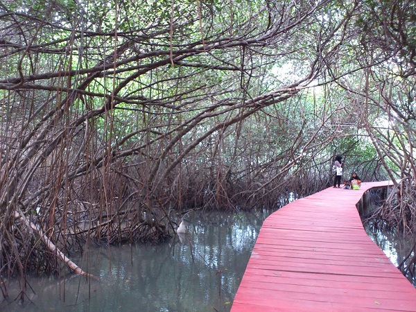 Jembatan Merah Hutan Mangrove via panoramio-com, 1. Pantai Karang Jahe, 2. Pantai Caruban, 3. Jembatan Merah Hutan Mangrove, 4. Dampo Awang Beach (Taman Rekreasi Pantai Kartini), 5. Alun – Alun Rembang, 6. Watu Congol Lasem, 7. Tiongkok Kecil Heritage Lasem, 8. Gunung Lasem, 9. Air Terjun Pasucen, 10. Watu Layar, 11. Pantai Nyamplung Indah, 12. Waduk Panohan, 13. Wisata Gunung Kajar, 14. Waduk Lodan (Embung Lodan), 15. Pantai Pasir Putih Wates, 16. Pantai Binangun, 17. Pantai Jati Sari, 18. Air Terjun Kali Mancur, 19. Air Terjun Kedung Grenjeng, 20. Gunung Argopuro Lasem, 21. Museum RA Kartini, 22. Wana Wisata Kartini Mantingan, 23. Klenteng Cu An Kiong Lasem, 24. Masjid Jami’ Lasem, 25. Wana Wisata Sumber Semen, 26. Lawang Ombo, 27. Vihara Ratanavana Arama, 28. Petilasan Sunan Bonang, 29. Taman Indah Pantai Balongan, 30. Masjid Agung Alun – Alun Rembang, 31. Situs Perahu Kuno Punjulharjo, 32. Pulau Gede Rembang, 33. Pulau Karang Gosong, 34. Rumah Pohon Igir Wringin, 35. Bukit Pencu Blora, 36. Juwana Water Fantasy