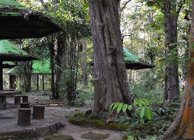 Monumen Hutan Jati Alam Blora via Inet, 1. Goa Terawang, 2. Goa Sentono, 3. Museum Mahameru, 4. Replika Fosil Gajah Purba Blora, 5. Keraton Jipang, 6. Monumen Arjuna Wiwaha Cepu, 7. Taman Mustika, 8. Gua Maria Sendang Harjo, 9. Purwo Suci, 10. Grojogan Bengawan Solo, 11. Wisata Relief Jembatan Merah, 12. Gunung Puteh Guo Telo, 13. KDR Park Kundungan, 14. Embung Plered, 15. Gunung Cengklik, 16. Waduk Tempuran, 17. Kampoeng Bluron, 18. Taman Seribu Lampu Cepu, 19. Trainz Loco Tour, 20. Wana Wisata Kedung Pupur, 21. Wisata Cemoro 7, 22. Gubug Payung, 23. Gunung Manggir Blora, 24. Air Terjun Kedung Mansur, 25. Oro – Oro Kesongo, 26. Kilometer 0 Cepu, 27. Bukit Kemuning Blora, 28. Kedung Londo, 29. Alun – Alun Blora, 30. Wisata Keluarga Pemandian Sayuran, 31. Kampung Gojekan, 32. Wanawisata Wanirupo, 33. Waduk Bentolo, 34. Waduk Greneng, 35. Taman Sarbini Water Splash Blora, 36. Bukit Janjang Blora, 37. Monumen Hutan Jati Alam Blora, 38. Agrowisata Temanjang, 39. Taman Budaya dan Seni Tirtonadi, 40. Gunung Pencu, 41. Embung Keruk, 42. Tugu Pancasila Blora