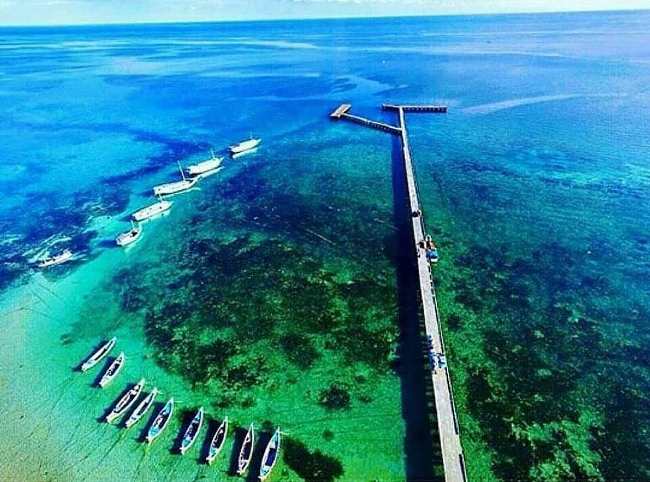 Padang Lamun Sapudi via IG @sapudi.id, 1. Gili Iyang, 2. Gili Labak, 3. Gili Genting, 4. Pulau Sapeken, 5. Pantai Lombang, 6. Pantai Ambuten, 7. Bukit Tinggi Daramista, 8. Bukit Kapur Kombang, 9. Pantai Slopeng, 10. Kepulauan Masalembu, 11. Pantai Sembilan, 12. Pulau Mamburit, 13. Taman Adipura Kota Sumenep, 14. Masjid Agung Sumenep, 15. Museum Keraton Sumenep, 16. Pantai Badur, 17. Air Terjun Durbugan, 18. Padang Lamun, Menyaksikan Pemandangan Unik dari Pulau Sapudi, 19. Pantai Ropet
