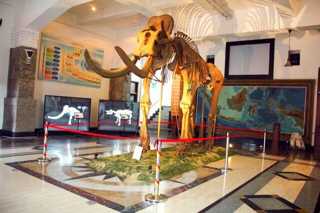 Replika Fosil Gajah Purba Blora via Infobloracom, 1. Goa Terawang, 2. Goa Sentono, 3. Museum Mahameru, 4. Replika Fosil Gajah Purba Blora, 5. Keraton Jipang, 6. Monumen Arjuna Wiwaha Cepu, 7. Taman Mustika, 8. Gua Maria Sendang Harjo, 9. Purwo Suci, 10. Grojogan Bengawan Solo, 11. Wisata Relief Jembatan Merah, 12. Gunung Puteh Guo Telo, 13. KDR Park Kundungan, 14. Embung Plered, 15. Gunung Cengklik, 16. Waduk Tempuran, 17. Kampoeng Bluron, 18. Taman Seribu Lampu Cepu, 19. Trainz Loco Tour, 20. Wana Wisata Kedung Pupur, 21. Wisata Cemoro 7, 22. Gubug Payung, 23. Gunung Manggir Blora, 24. Air Terjun Kedung Mansur, 25. Oro – Oro Kesongo, 26. Kilometer 0 Cepu, 27. Bukit Kemuning Blora, 28. Kedung Londo, 29. Alun – Alun Blora, 30. Wisata Keluarga Pemandian Sayuran, 31. Kampung Gojekan, 32. Wanawisata Wanirupo, 33. Waduk Bentolo, 34. Waduk Greneng, 35. Taman Sarbini Water Splash Blora, 36. Bukit Janjang Blora, 37. Monumen Hutan Jati Alam Blora, 38. Agrowisata Temanjang, 39. Taman Budaya dan Seni Tirtonadi, 40. Gunung Pencu, 41. Embung Keruk, 42. Tugu Pancasila Blora