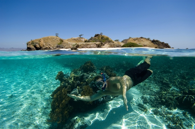 Snorkeling di Pulau Komodo via miner8, Fakta Seputar Komodo & Pulau Komodo, Akses Menuju Lokasi Wisata, Harga Tiket Masuk Pulau Komodo, Fasilitas yang Tersedia, Daya Tarik Pulau Komodo, Keindahan Pulau Komodo, Penginapan di Wisata Pulau Komodo
