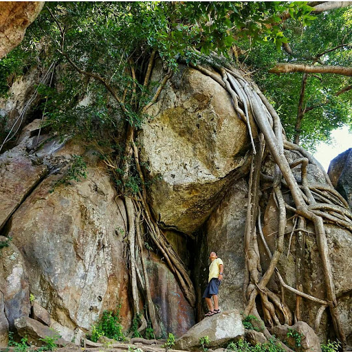 Watu Gandul, 1. Air Terjun Sedudo , 2. Watu Lawang , 3. Taman Pandan Wilis , 4. WM Mini WaterPark Sawahan, 5. Bukit Surga, 6. Wisata Taman Cengkok Asri ( WTC Asri ), 7. Air Terjun Roro Kuning , 8. Candi Ngetos , 9. Taman Pintar Nganjuk, 10. Goa Margo Tresno , 11. Taman Wisata Manyung, 12. Taman Lembah Djati, 13. Air Terjun Singokromo, 14. Waduk Perning , 15. Bukit Salju Ngetos, 16. Waduk Putukrejo , 17. Wisata Sumbermiri Nganjuk, 18. Sendang Putri Wilis , 19. Wisata Bukit Batu Songgong , 20. Monumen Dr. Soetomo, 21. Museum Anjuk Ladang , 22. Taman Rekreasi Anjuk Ladang , 23. Pura Kerta Bhuwana Giri Wilis , 24. Agrowisata ONOKABE, 25. Monumen Jenderal Soedirman , 26. Embung Estumulyo, 27. Air Terjun Watu Lumbung, 28. Agro Wisata Ganter , 29. Klenteng Hok Yoe Kiong , 30. Masjid Yoni Al – Mubarok, 31. Makam Kanjeng Jimat , 27. Air Terjun Tirto Panji ????, 32. Air Terjun Watu Leter, 33. Monumen Gerilya Jenderal Sudirman , 34. Bukit Goa Dali , 35. Watu Gandul , 36. Candi Lor , 37. Goa Dan Grojogan Putri Ayu , 38. Air Terjun Pring Jowo , 39. Waduk Oro-oro Ombo, 40. Air Terjun Gedangan , 41. Air Terjun Sri Gunting , 42. Air Terjun Sumber Manik , 43. Air Terjun Ngebleng , 44. Air Terjun Sumberanjlok, 45. Air Terjun Coban Tretes 
