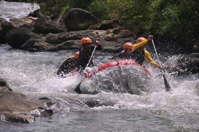Arung Jeram Sungai Klawing via IG @iwan_ardiann, 1. Owabong Water Park, 2. Taman Wisata Pendidikan Purbasari Pancuran Mas, 3. Taman Bunga Kutabawa, 4. Wisata Alam Kampung Kurcaci, 5. Agrowisata Lembah Asri Serang, 6. Jembatan Cinta Purbalingga, 7. Sanggaluri Park Purbalingga, 8. Golaga – Goalawa Purbalingga, 9. Desa Wisata Panusupan, 10. Bukit Mertelu, 11. Alun – Alun Purbalingga, 12. Pemandian Situ Tirta Marta Desa Wisata Karangcegak, 13. Puncak Sendaren, 14. Desa Wisata Serang, 15. Jembatan Pelangi Rembang, 16. Purbasari Pancuran Mas, 17. Curug Sumba, 18. Wisata Agrobisnis Serang, 19. Bukit Cilik – Igir Wringin, 20. Wisata Buah Botania Garden (Bogar), 21. Puncak Sibarat, 22. Curug Nini, 23. Curug Silintang, 24. Bukit Njelir, 25. Taman Cinta Talagening Bobotsari, 26. Curug Duwur (Bumisari), 27. Curug Tempuran, 28. Desa Wisata Gunung Wuled, 29. Museum Uang Purbalingga, 30. River World Purbalingga, 31. Ardi Lawet Petilasan Syeh Jambu Karang, 32. Bukit Kelir, 33. Watu Geong, 34. Curug Ciputut, 35. Curug Tuntung Laut, 36. Museum Jenderal Soedirman, 37. Kolam Renang Walik Purbalingga, 38. Sungai Watu Mujur, 39. Arung Jeram Sungai Klawing, 40. Usman Janatin City Park, 41. Puncak Telkom Pratin, 42. Puncak Batur Purbalingga, 44. Wisata Pring Wulung, 45. River Tubing Klawing, 46. Lampion Tengah Sawah, 47. Bendungan Slinga, 48. Highland Serang, 49. Desa Wisata Sikopyah