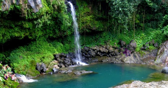 Curug Sumba via Kmstour, 1. Owabong Water Park, 2. Taman Wisata Pendidikan Purbasari Pancuran Mas, 3. Taman Bunga Kutabawa, 4. Wisata Alam Kampung Kurcaci, 5. Agrowisata Lembah Asri Serang, 6. Jembatan Cinta Purbalingga, 7. Sanggaluri Park Purbalingga, 8. Golaga – Goalawa Purbalingga, 9. Desa Wisata Panusupan, 10. Bukit Mertelu, 11. Alun – Alun Purbalingga, 12. Pemandian Situ Tirta Marta Desa Wisata Karangcegak, 13. Puncak Sendaren, 14. Desa Wisata Serang, 15. Jembatan Pelangi Rembang, 16. Purbasari Pancuran Mas, 17. Curug Sumba, 18. Wisata Agrobisnis Serang, 19. Bukit Cilik – Igir Wringin, 20. Wisata Buah Botania Garden (Bogar), 21. Puncak Sibarat, 22. Curug Nini, 23. Curug Silintang, 24. Bukit Njelir, 25. Taman Cinta Talagening Bobotsari, 26. Curug Duwur (Bumisari), 27. Curug Tempuran, 28. Desa Wisata Gunung Wuled, 29. Museum Uang Purbalingga, 30. River World Purbalingga, 31. Ardi Lawet Petilasan Syeh Jambu Karang, 32. Bukit Kelir, 33. Watu Geong, 34. Curug Ciputut, 35. Curug Tuntung Laut, 36. Museum Jenderal Soedirman, 37. Kolam Renang Walik Purbalingga, 38. Sungai Watu Mujur, 39. Arung Jeram Sungai Klawing, 40. Usman Janatin City Park, 41. Puncak Telkom Pratin, 42. Puncak Batur Purbalingga, 44. Wisata Pring Wulung, 45. River Tubing Klawing, 46. Lampion Tengah Sawah, 47. Bendungan Slinga, 48. Highland Serang, 49. Desa Wisata Sikopyah