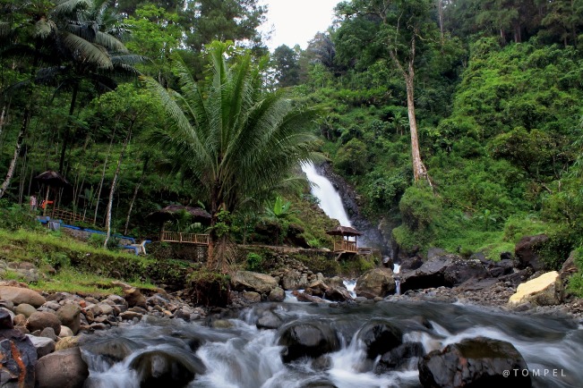 Desa Wisata Gunung Wuled via IG @Tompel, 1. Owabong Water Park, 2. Taman Wisata Pendidikan Purbasari Pancuran Mas, 3. Taman Bunga Kutabawa, 4. Wisata Alam Kampung Kurcaci, 5. Agrowisata Lembah Asri Serang, 6. Jembatan Cinta Purbalingga, 7. Sanggaluri Park Purbalingga, 8. Golaga – Goalawa Purbalingga, 9. Desa Wisata Panusupan, 10. Bukit Mertelu, 11. Alun – Alun Purbalingga, 12. Pemandian Situ Tirta Marta Desa Wisata Karangcegak, 13. Puncak Sendaren, 14. Desa Wisata Serang, 15. Jembatan Pelangi Rembang, 16. Purbasari Pancuran Mas, 17. Curug Sumba, 18. Wisata Agrobisnis Serang, 19. Bukit Cilik – Igir Wringin, 20. Wisata Buah Botania Garden (Bogar), 21. Puncak Sibarat, 22. Curug Nini, 23. Curug Silintang, 24. Bukit Njelir, 25. Taman Cinta Talagening Bobotsari, 26. Curug Duwur (Bumisari), 27. Curug Tempuran, 28. Desa Wisata Gunung Wuled, 29. Museum Uang Purbalingga, 30. River World Purbalingga, 31. Ardi Lawet Petilasan Syeh Jambu Karang, 32. Bukit Kelir, 33. Watu Geong, 34. Curug Ciputut, 35. Curug Tuntung Laut, 36. Museum Jenderal Soedirman, 37. Kolam Renang Walik Purbalingga, 38. Sungai Watu Mujur, 39. Arung Jeram Sungai Klawing, 40. Usman Janatin City Park, 41. Puncak Telkom Pratin, 42. Puncak Batur Purbalingga, 44. Wisata Pring Wulung, 45. River Tubing Klawing, 46. Lampion Tengah Sawah, 47. Bendungan Slinga, 48. Highland Serang, 49. Desa Wisata Sikopyah
