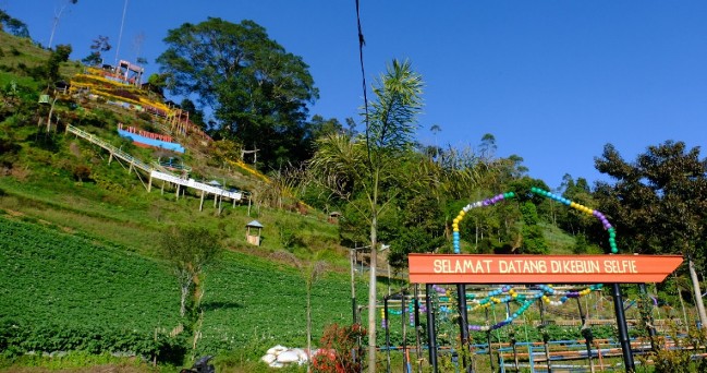 Desa Wisata Serang Pesona Travel, 1. Owabong Water Park, 2. Taman Wisata Pendidikan Purbasari Pancuran Mas, 3. Taman Bunga Kutabawa, 4. Wisata Alam Kampung Kurcaci, 5. Agrowisata Lembah Asri Serang, 6. Jembatan Cinta Purbalingga, 7. Sanggaluri Park Purbalingga, 8. Golaga – Goalawa Purbalingga, 9. Desa Wisata Panusupan, 10. Bukit Mertelu, 11. Alun – Alun Purbalingga, 12. Pemandian Situ Tirta Marta Desa Wisata Karangcegak, 13. Puncak Sendaren, 14. Desa Wisata Serang, 15. Jembatan Pelangi Rembang, 16. Purbasari Pancuran Mas, 17. Curug Sumba, 18. Wisata Agrobisnis Serang, 19. Bukit Cilik – Igir Wringin, 20. Wisata Buah Botania Garden (Bogar), 21. Puncak Sibarat, 22. Curug Nini, 23. Curug Silintang, 24. Bukit Njelir, 25. Taman Cinta Talagening Bobotsari, 26. Curug Duwur (Bumisari), 27. Curug Tempuran, 28. Desa Wisata Gunung Wuled, 29. Museum Uang Purbalingga, 30. River World Purbalingga, 31. Ardi Lawet Petilasan Syeh Jambu Karang, 32. Bukit Kelir, 33. Watu Geong, 34. Curug Ciputut, 35. Curug Tuntung Laut, 36. Museum Jenderal Soedirman, 37. Kolam Renang Walik Purbalingga, 38. Sungai Watu Mujur, 39. Arung Jeram Sungai Klawing, 40. Usman Janatin City Park, 41. Puncak Telkom Pratin, 42. Puncak Batur Purbalingga, 44. Wisata Pring Wulung, 45. River Tubing Klawing, 46. Lampion Tengah Sawah, 47. Bendungan Slinga, 48. Highland Serang, 49. Desa Wisata Sikopyah